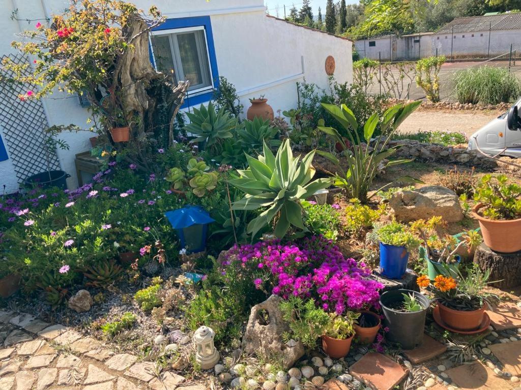 Casa Aleg Villa Albufeira Luaran gambar